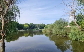 Teren 2000 mp de vânzare – Comana, deschidere la lac, aproape de Parcu - Poză 12
