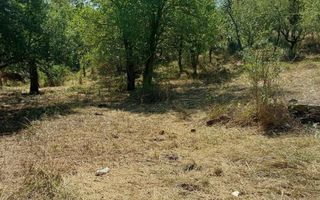 CASĂ IABLANIȚA,JUD. CARAȘ-SEVERIN - Poză 12