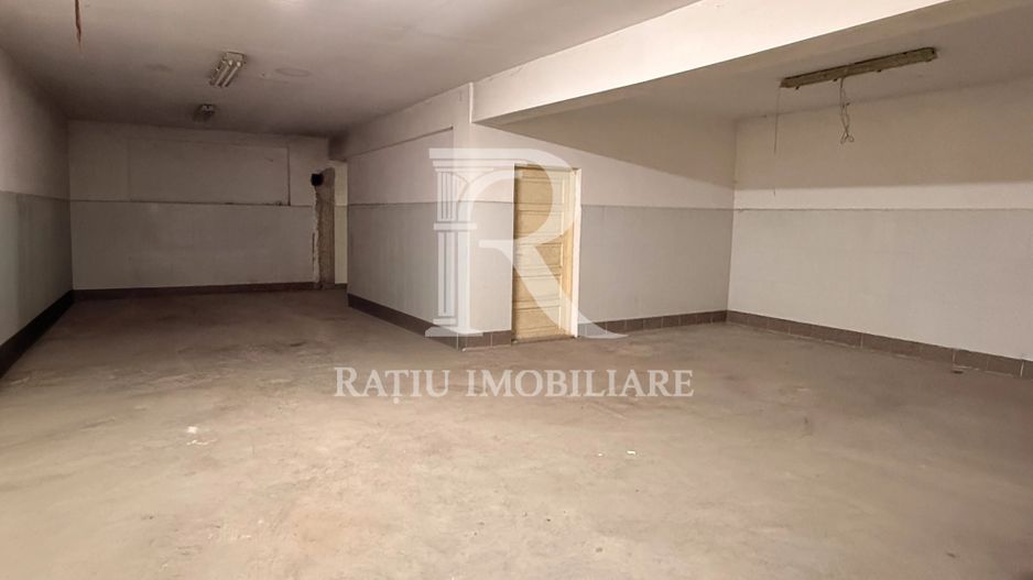Casă cu Hală Industrială | Teren 3.200 mp | Ineu | Bihor - Poză 17