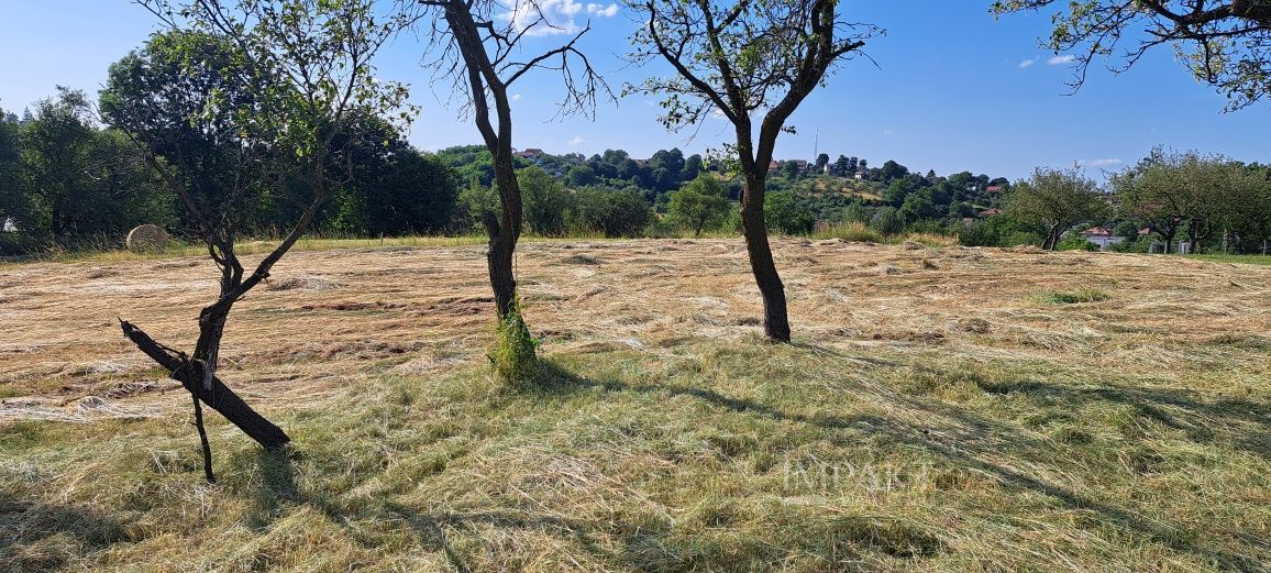 Teren Intravilan pentru Constructie | Potential Rezidențial | Feleacu - Poză 4