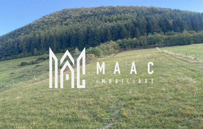 Teren Intravilan I 4129 MP I Gura Raului - Poză 2