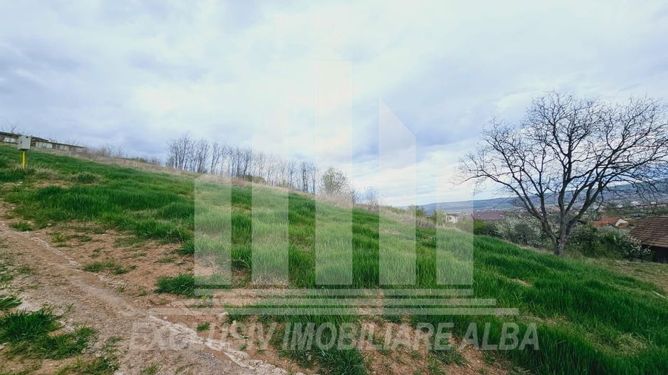 Teren intravilan de vanzare, Seigau - Poză 1