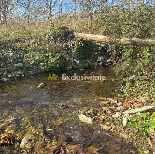 Teren mixt de vânzare Crasna Gorj, aproape de Rânca– 19.209 mp - Poză 8