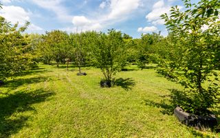 Casă de vânzare | PIPERA/ Teren 3300mp - Poză 4