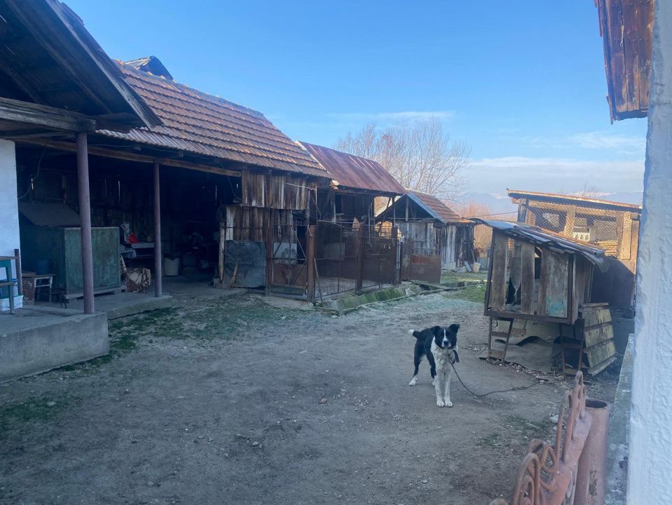 Proprietate cu potențial turistic și agricol | 7.661 mp|Șomanești-GORJ - Poză 7