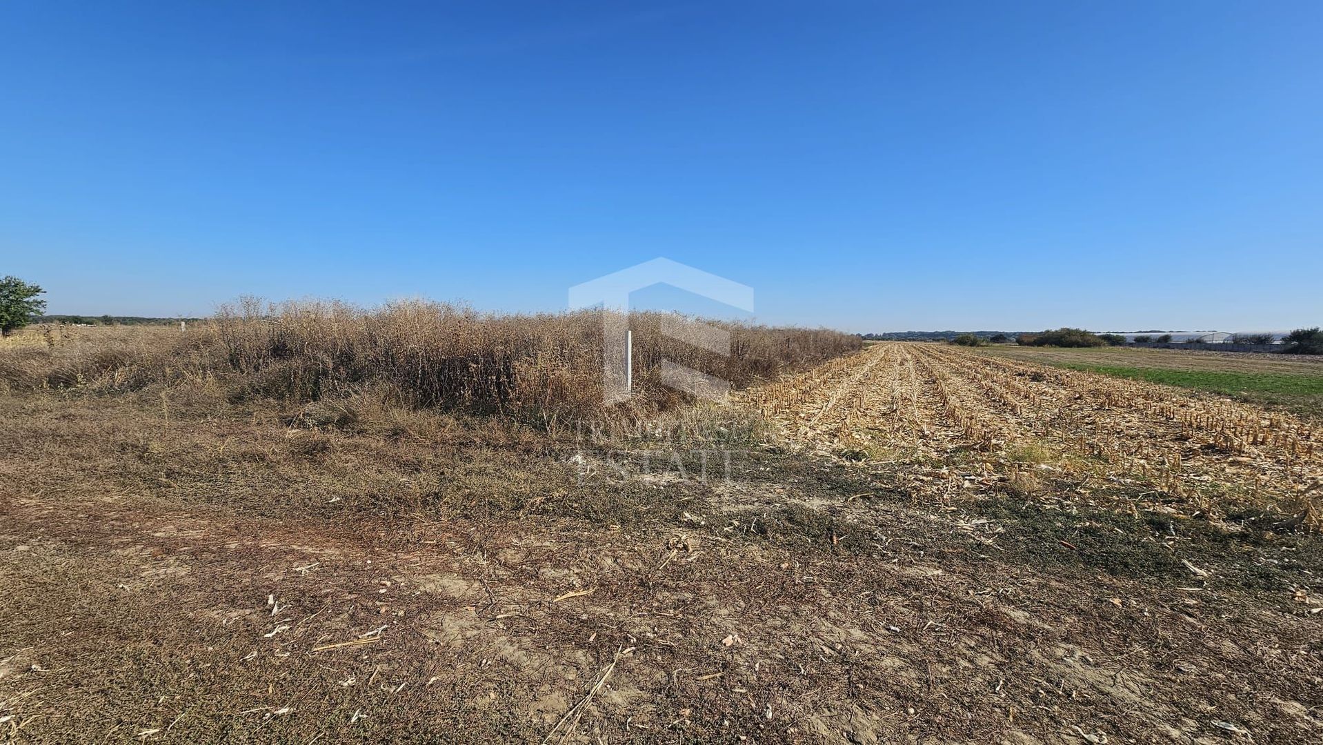 Copăceni - Ilfov - Teren intravilan arabil de vânzare - 1.148 mp - Poză 1