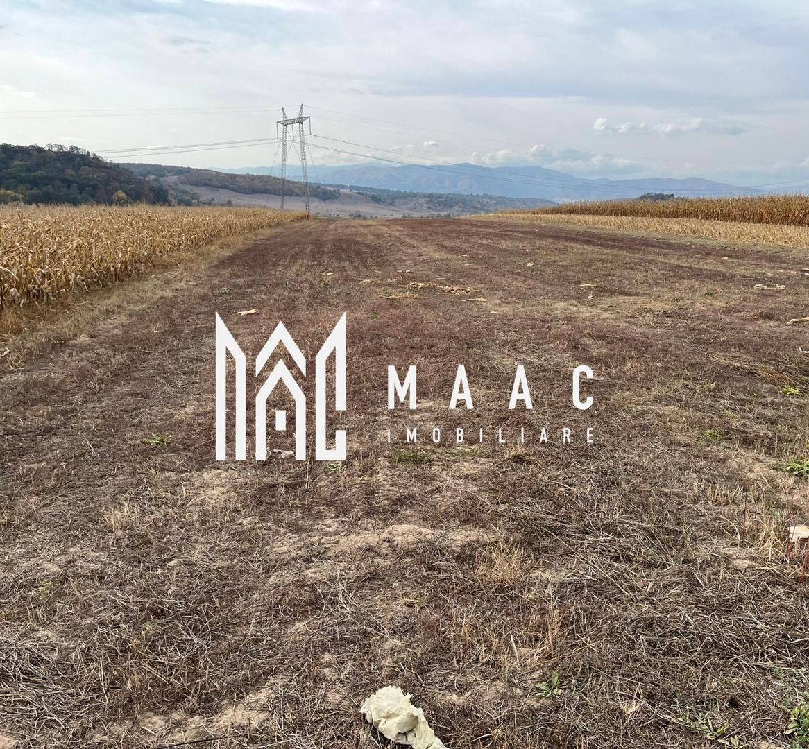 Teren extravilan de vânzare | Daia | 8.000 mp | agricol - Poză 2