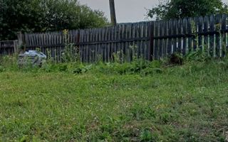 Teren Intravilan 30 Ari I Ilisesti/Suceava I 35.000Euro - Poză 2