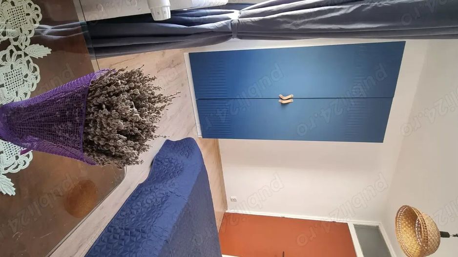 Petre Ispirescu Bârcă - Poză 6