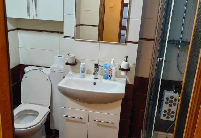 Apartament spațios, modern, complet mobilat și utilat - bloc VEGA - Poză 9