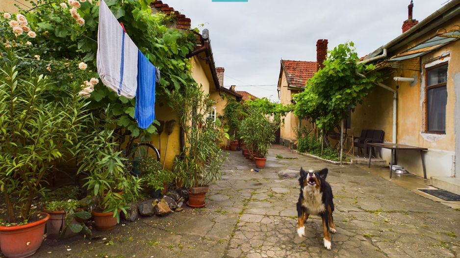 Apartament la casă cu 4 camere în Pârneava - Poză 20