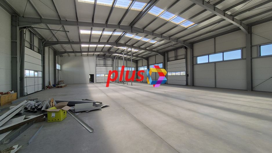 Hala - 1400 mp  # plus-imo.ro - Poză 13