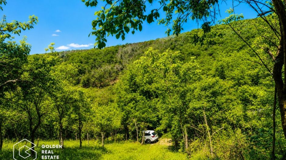 Teren intravilan, 1159 mp, localitatea Ghioroc - Poză 7
