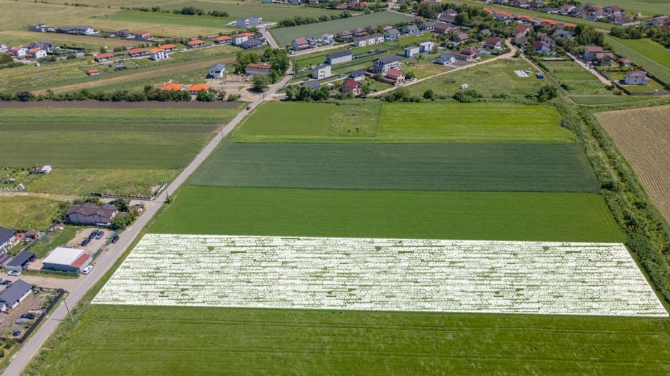Teren 9.300 mp Stupini | Front 45.59 m la Asfalt | PUG Zonă L1c - Poză 1