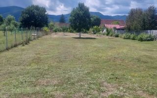 Casa Individuala I 3 Camere I Teren 2210 MP I Sacel - Poză 8