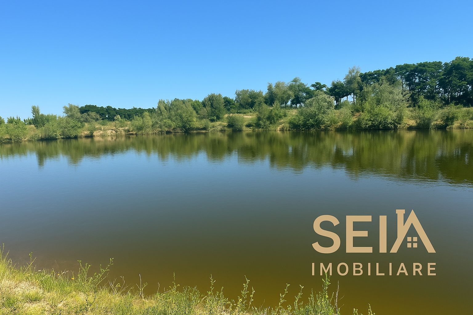 Iaz Piscicol Bacau Saucesti - Poză 1