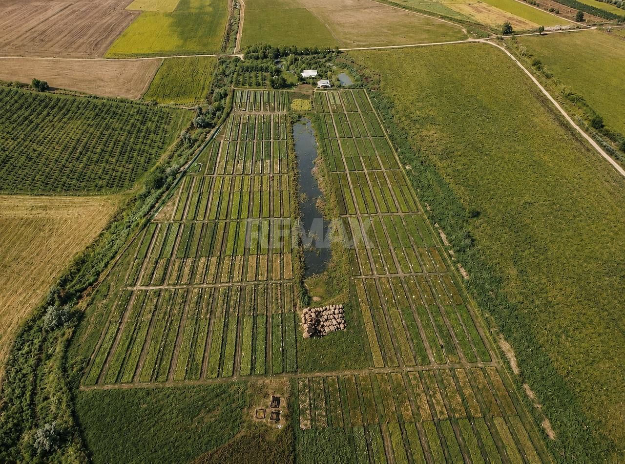 Teren agricol de vânzare – 6,8 hectare cu lac propriu și casă, Nisporeni - Poză 1