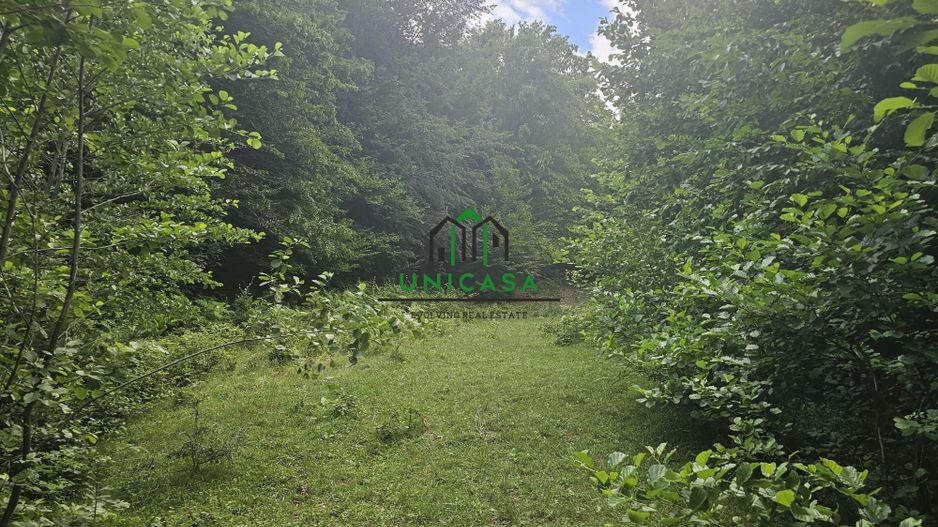 Teren extravilan  cu potential turistic - Brezoi - Poză 2