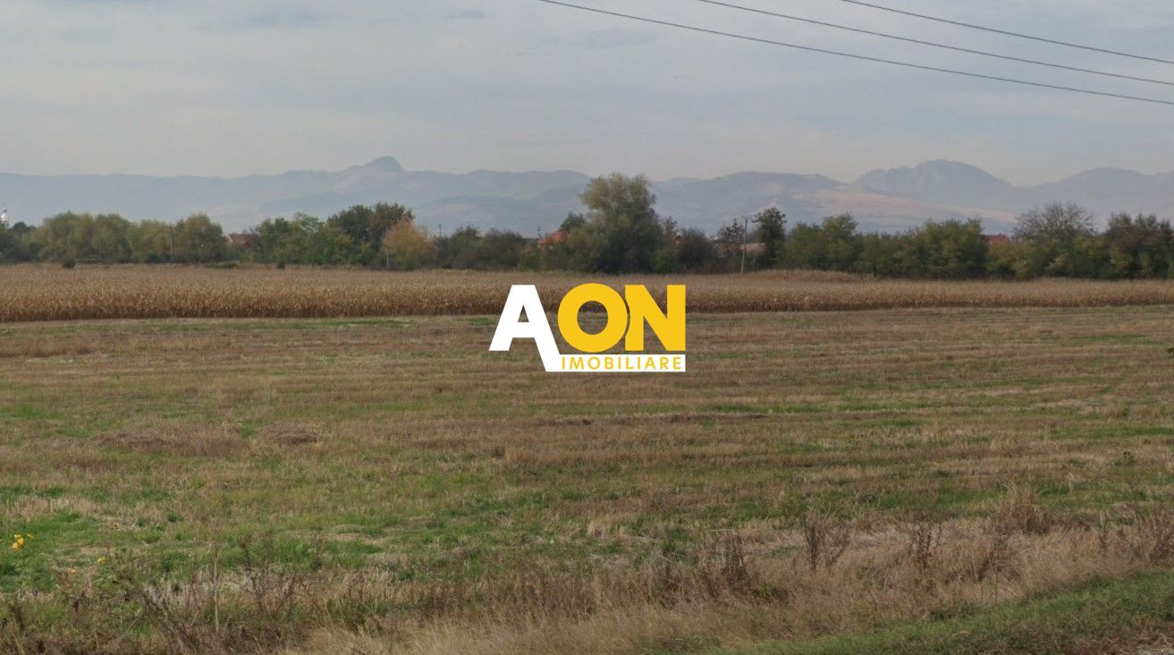 Teren intravilan industrial 5800 mp, Oiejdea, la asfalt - Poză 1