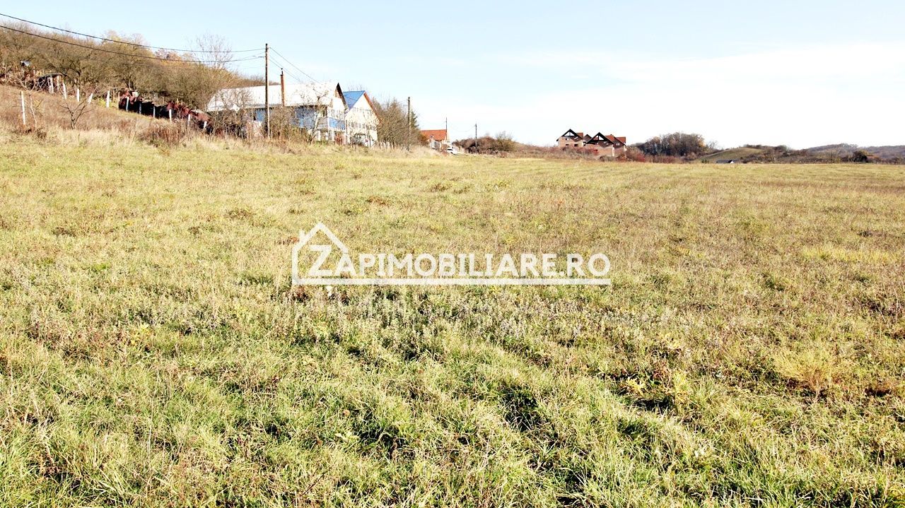 Teren 676 mp.59 euro mp. zona Corunca .Comision Zero - Poză 8