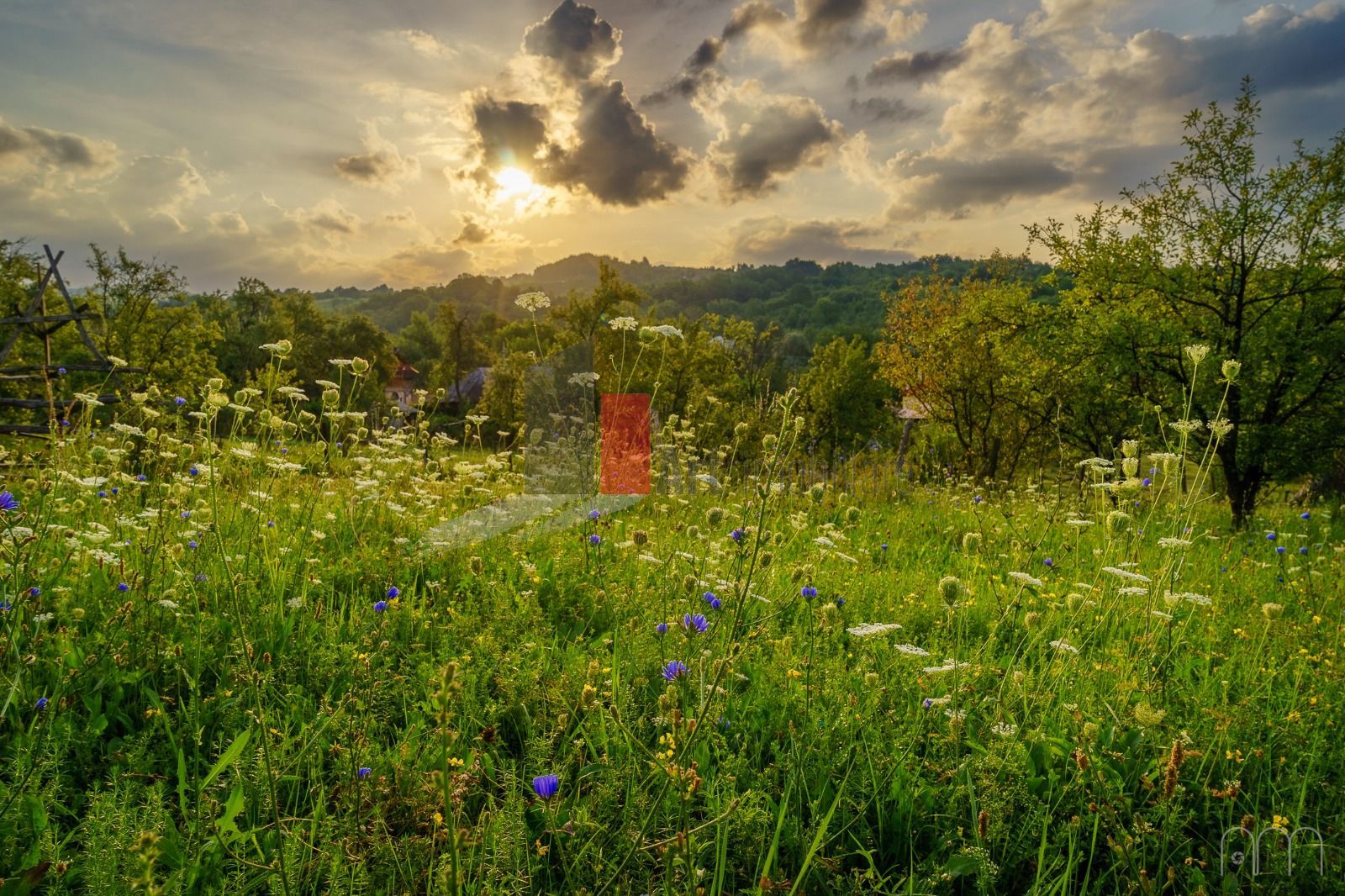 Teren intravilan Boteni Arges - Poză 15