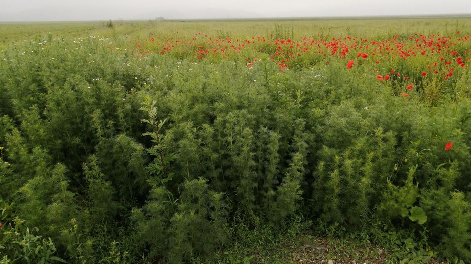 Teren la DN Brașov-Tărlungeni - Poză 8