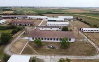 Proprietate industriala la 30 km exterior sud Timisoara - Poză 7