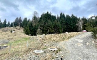 Teren intravilan 3039 mp-Parcelabil-ponton-Colibita Exclusiv - Poză 7