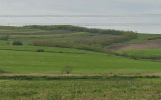 COMISION 0% - Teren extravilan 2.900mp - cadastrat - Gadalin / Jucu - Poză 7