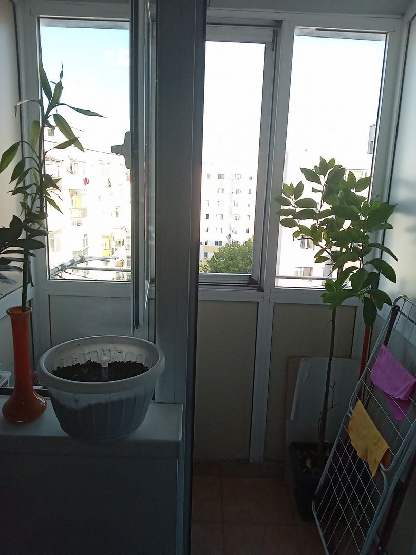 Vânzare apartament 2 camere Șos. Giurgiului - Colegiul Energetic - Poză 10