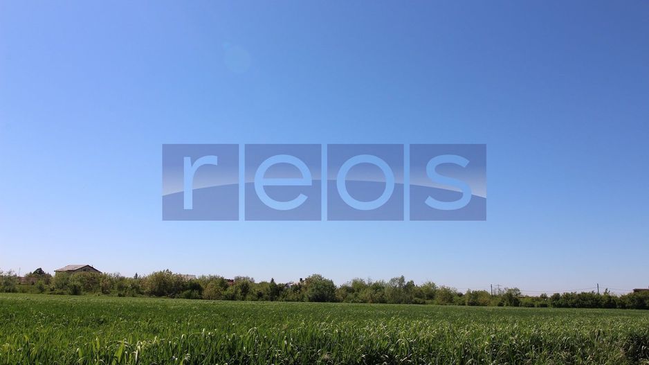 Teren 32000 mp Racari deschidere 82 mp - Poză 4