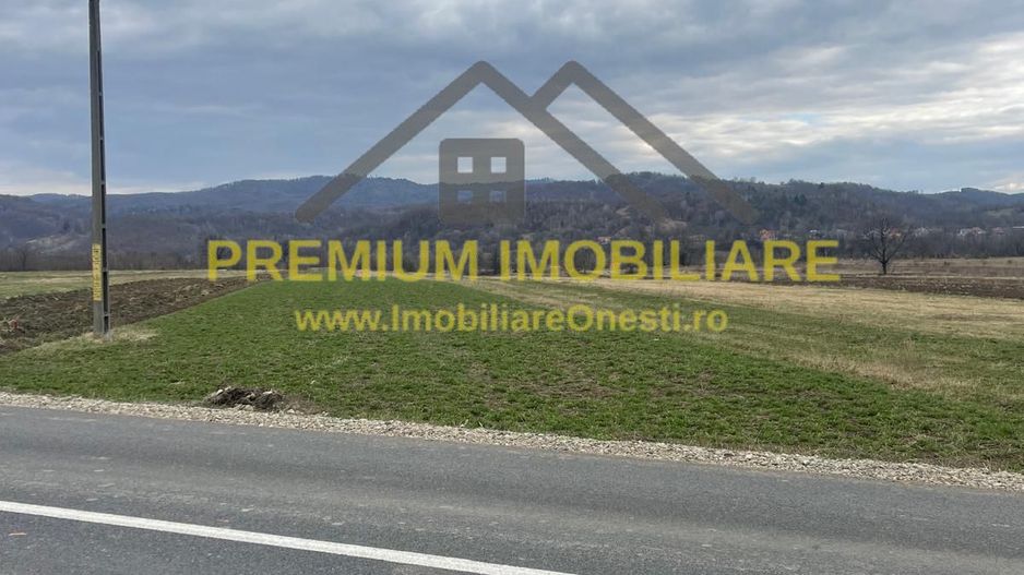 Vânzare teren 3145 mp – Mănăstirea Cașin, Onești - Poză 3