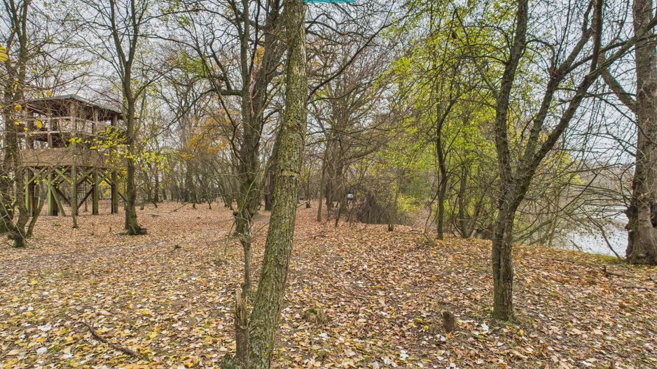 Teren pe malul Muresului- oportunitati multiple - Poză 27