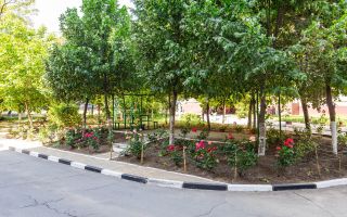 Vânzare, apartament, 2 camere, strada Ginta Latină, Ciocana - Poză 4