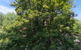 Vânzare, apartament, 1 camere, Strada Poştei, Rîșcani - Poză 11