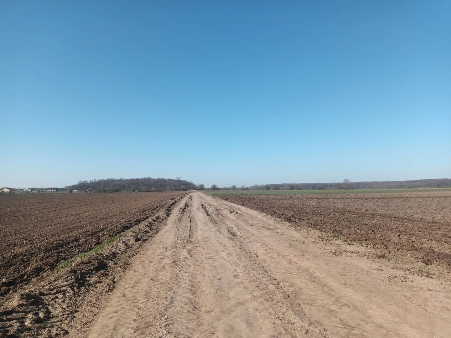 Teren de vanzare, Ordoreanu, Ferma de Struti, pret discutabil - Poză 1
