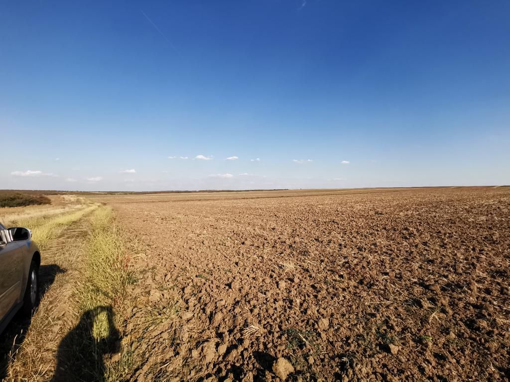 Ferma 415 ha comasat Timisoara NORD - Poză 10