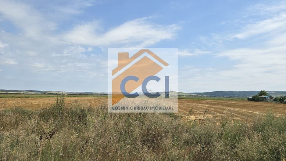 Teren intravilan– 50.000 mp, Bacău, Șoseaua Hol - Poză 3
