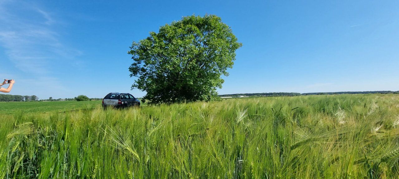 Ferma de Cultura Mare 1100 HA - Poză 9