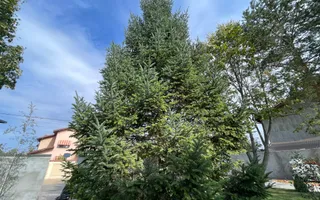 Vila cu 5 camere // * 565 mp gradina* // Tunari - Poză 69