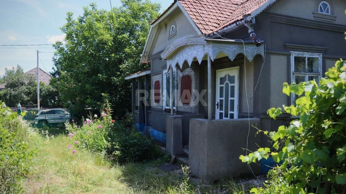 Casă individuală cu grădină 15.8 ari, Briceni - Poză 3