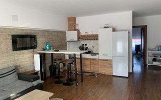 SPATIU DE INCHIRIAT IN MARGINEA - Poză 7