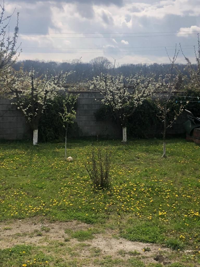 Casa individuala-zona Dumbravita lac-comision zero - Poză 16