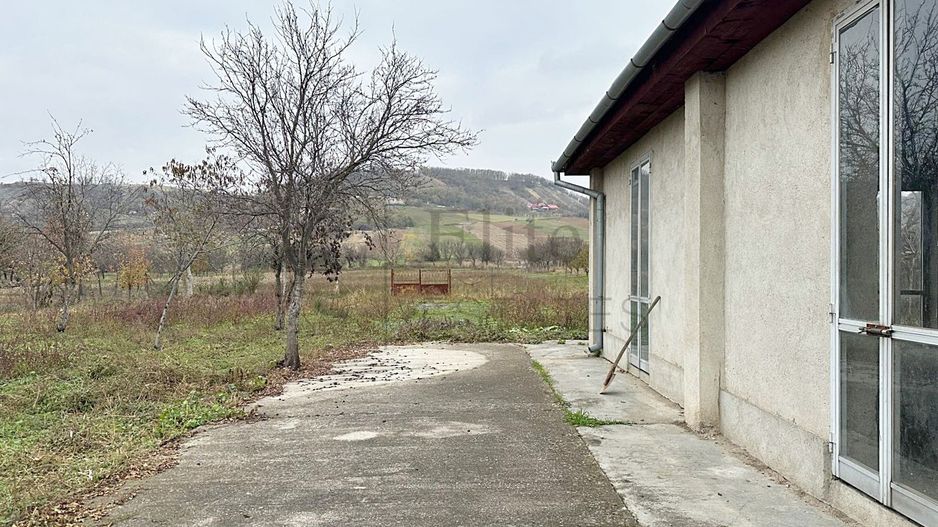 Casa cu 3 Hale si teren 8000 mp in Ulileacu de Cris, Bihor - Poză 11
