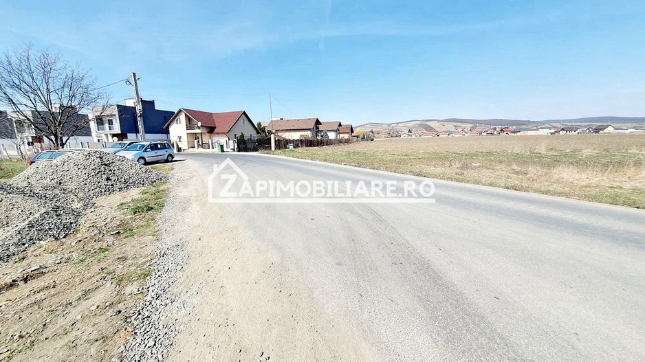 Teren 27.000 mp.deschidere la 2 drumuri ,75 euro mp. - Poză 4