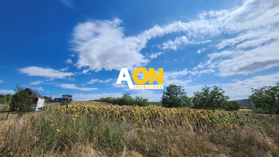 De vanzare teren 10.651mp intravilan, parcelabil, Oarda de Sus - Poză 5