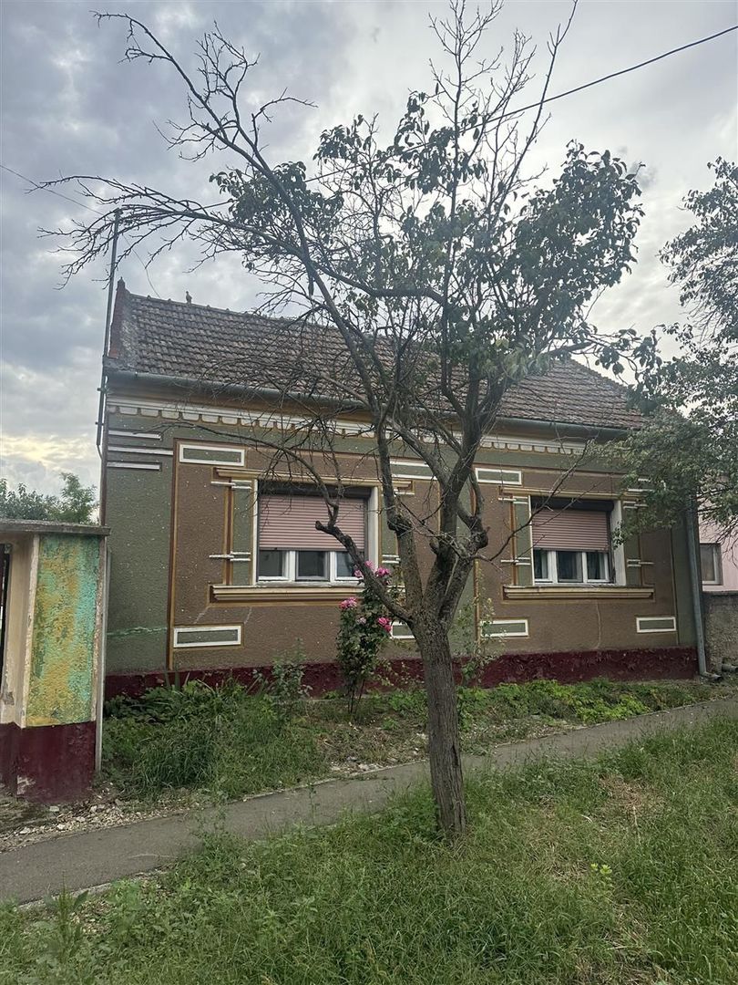 Casa de vï¿½nzare Niuved - Poză 3