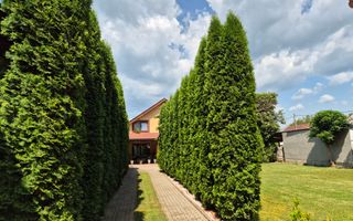 Vand Casa 2 corpuri, P+E, Romanilor, 4 cam, curte, zona de gratar, etc - Poză 2