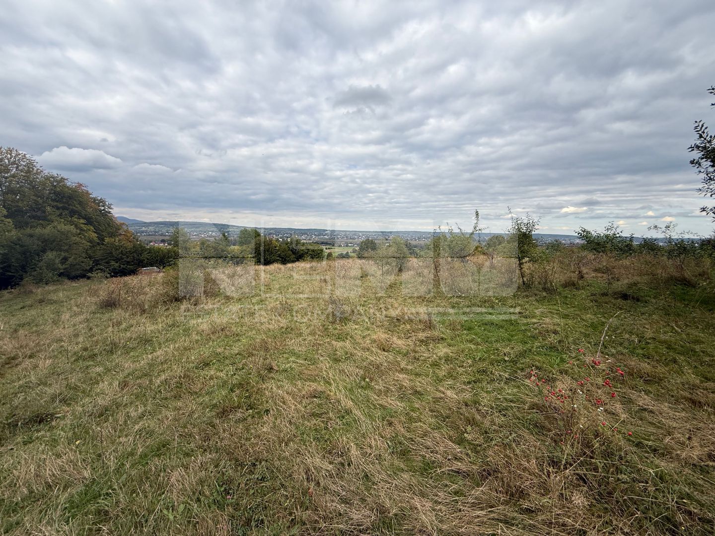 Teren de vânzare în Putna | 6.400 mp | 56 m front stradal - Poză 7