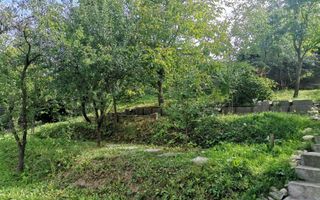 Vanzare vila deosebita, Valea Mare, central - Poză 3